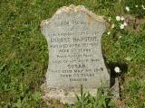 image number Harsent Ernest 148